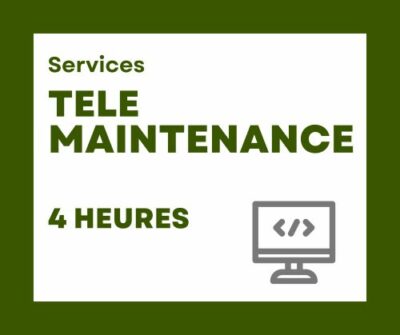 Télémaintenance 4h