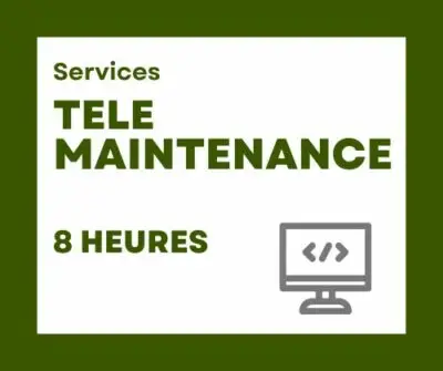 Télémaintenance 8h